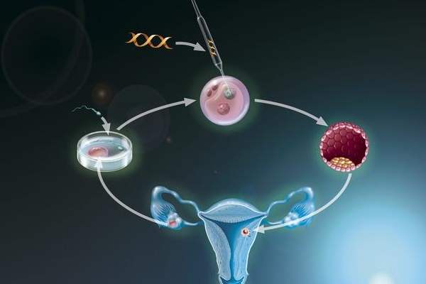 天津试管移植胚胎数量越多越好吗？ 